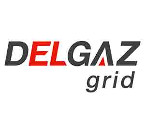delgaz grid Logo